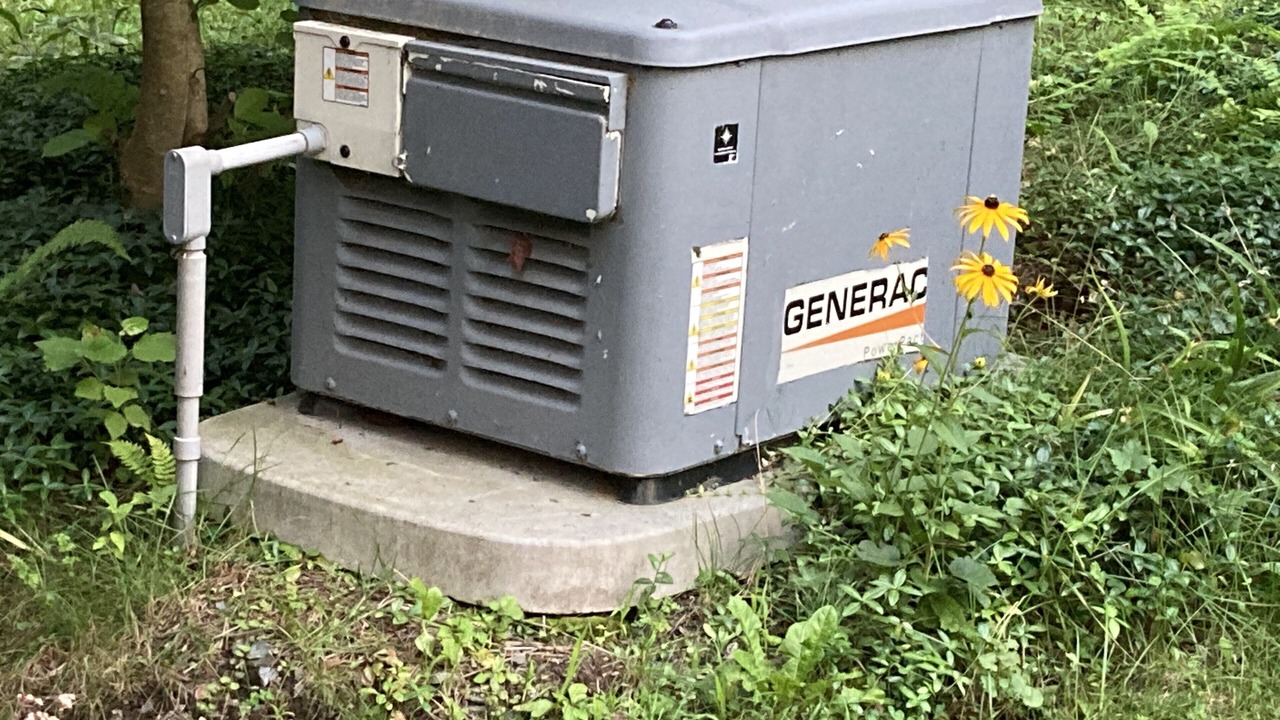 Photo of Others in Woodsville