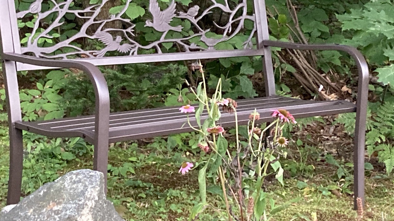 Photo of Outdoor in Woodsville