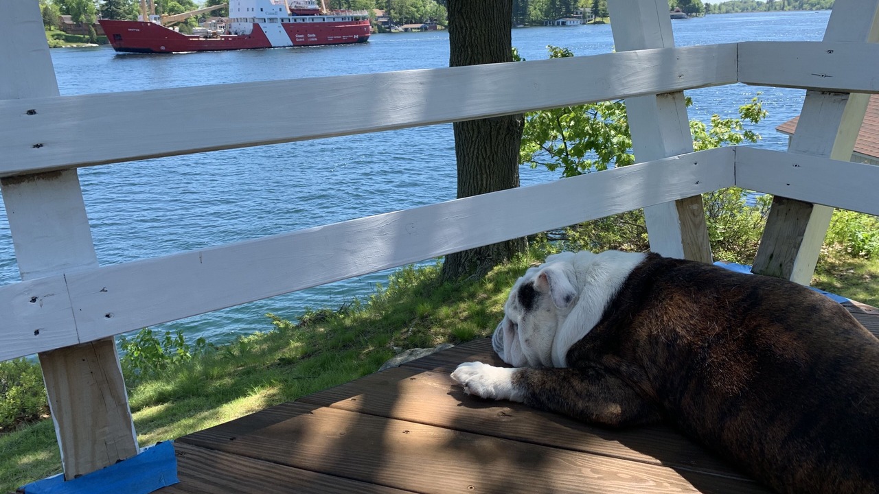 Photo of Others in Wellesley Island