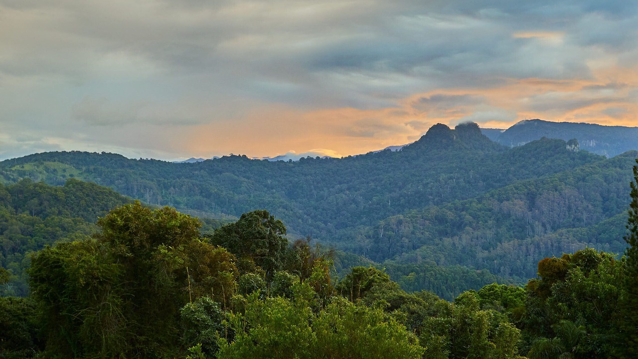 Photo of Others in Currumbin Valley
