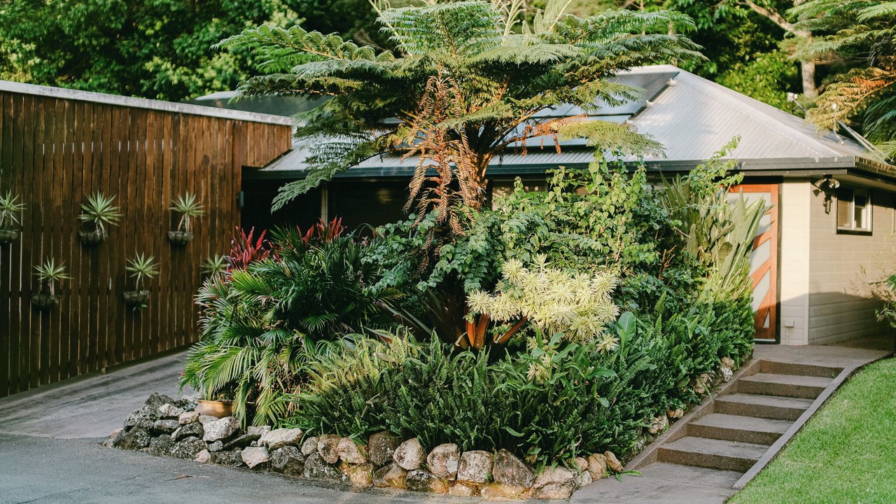 Photo of Outdoor in Currumbin Valley