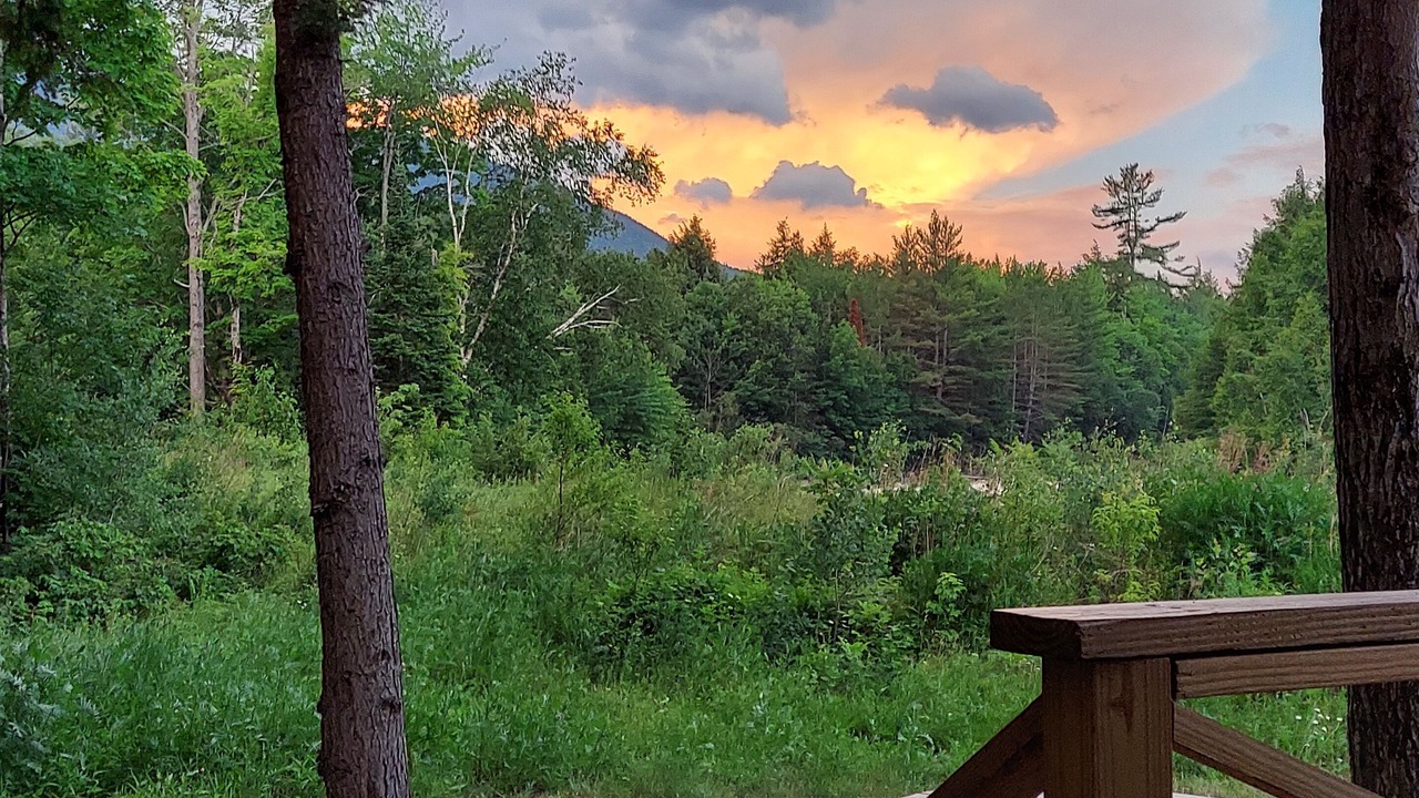 Photo of Outdoor in Gorham