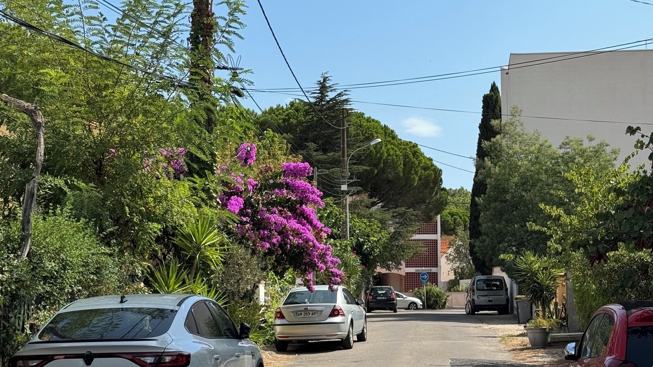 Photo of Outdoor in Argeles Plage