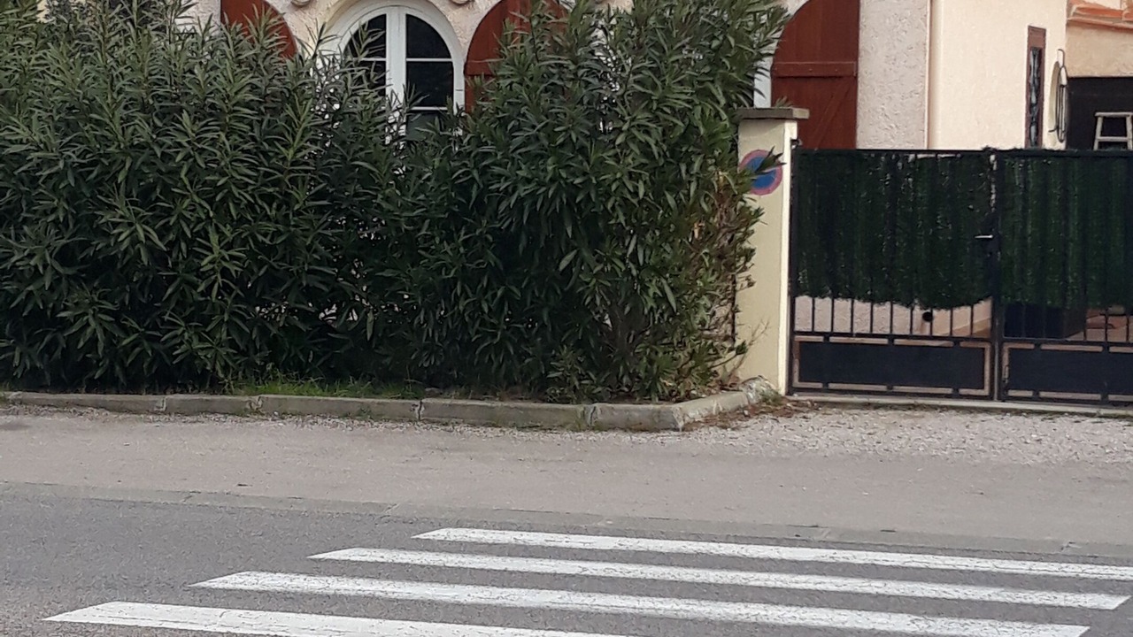 Photo of Outdoor in Argeles Plage