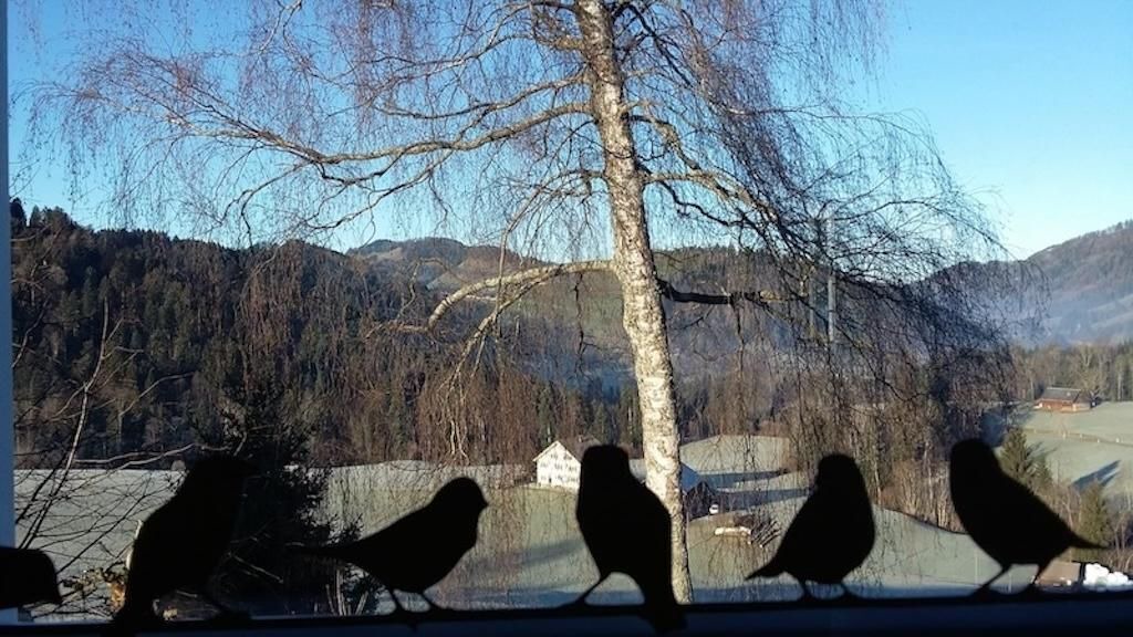 Photo of Others in Hemberg
