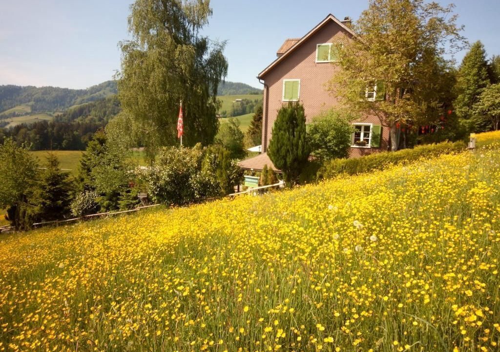 Photo of Others in Hemberg