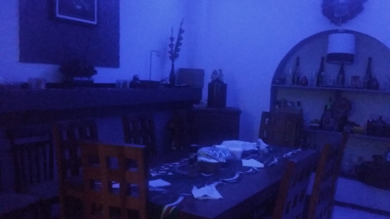 Photo of Others in Toluca