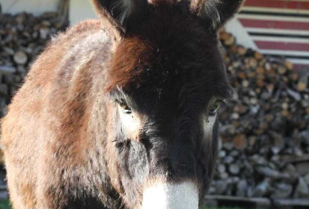 Photo of Others in Caumont-sur-Durance