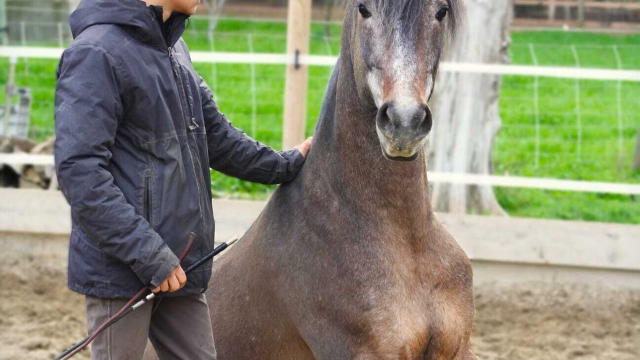 Photo of Outdoor in Caumont-sur-Durance