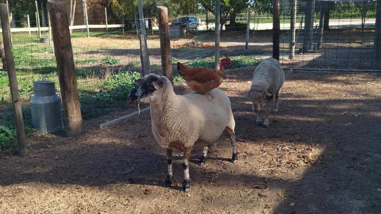 Photo of Others in Caumont-sur-Durance