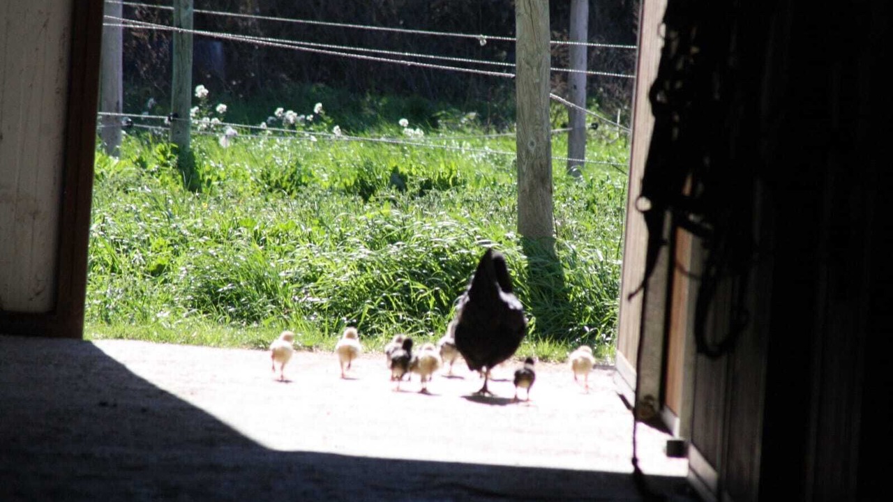 Photo of Others in Caumont-sur-Durance