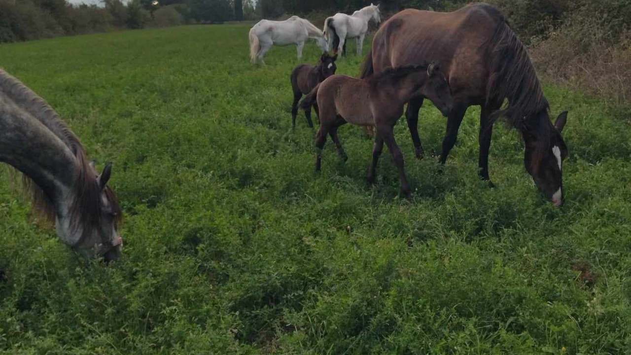 Photo of Others in Caumont-sur-Durance
