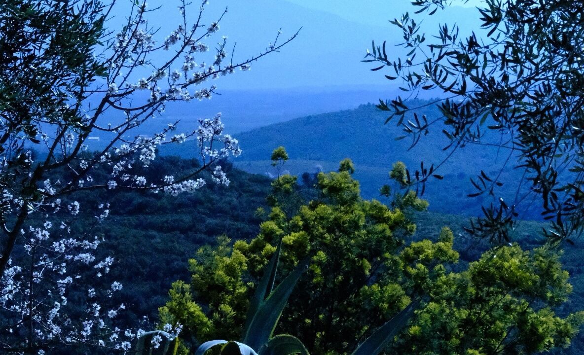 Photo of Outdoor in Castelnou