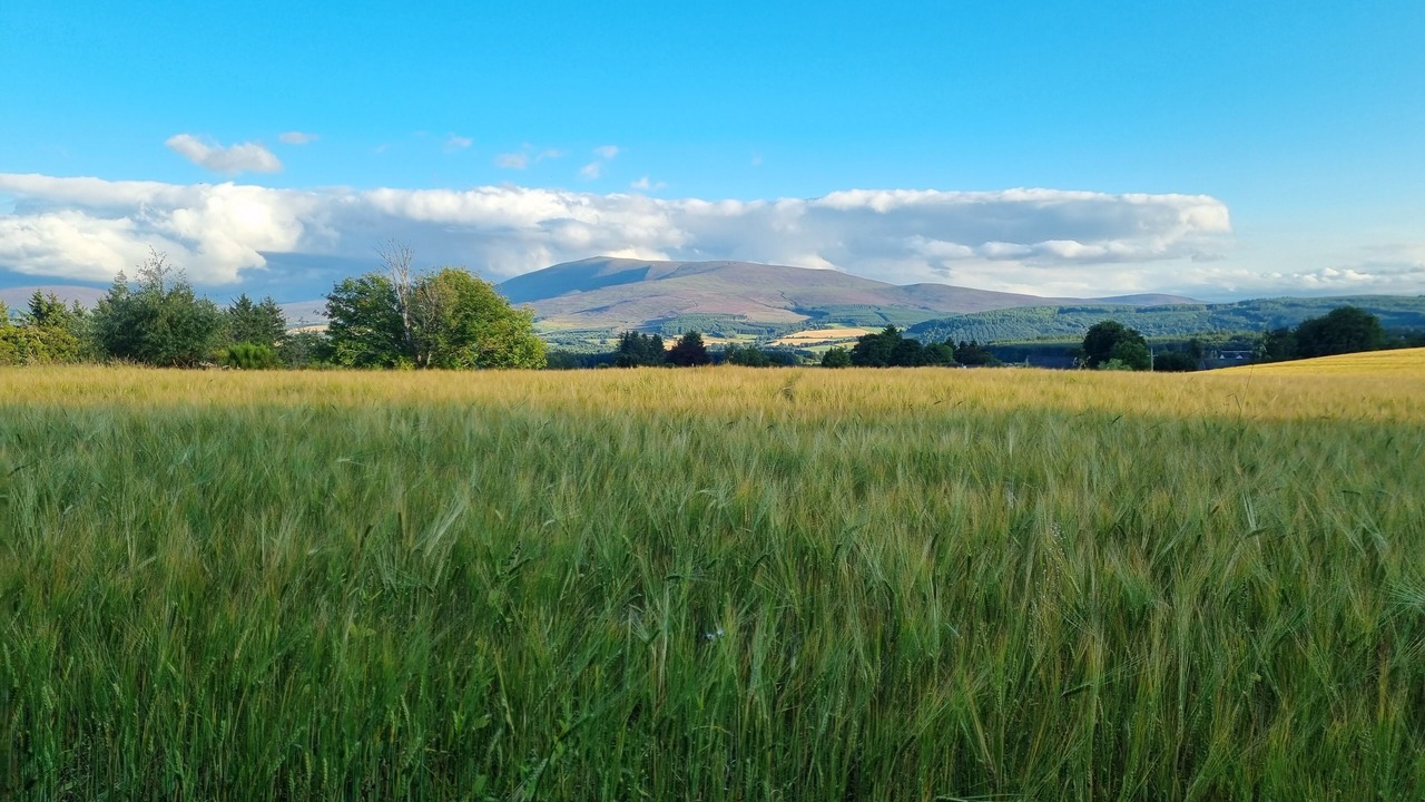 Photo of Others in Aberlour