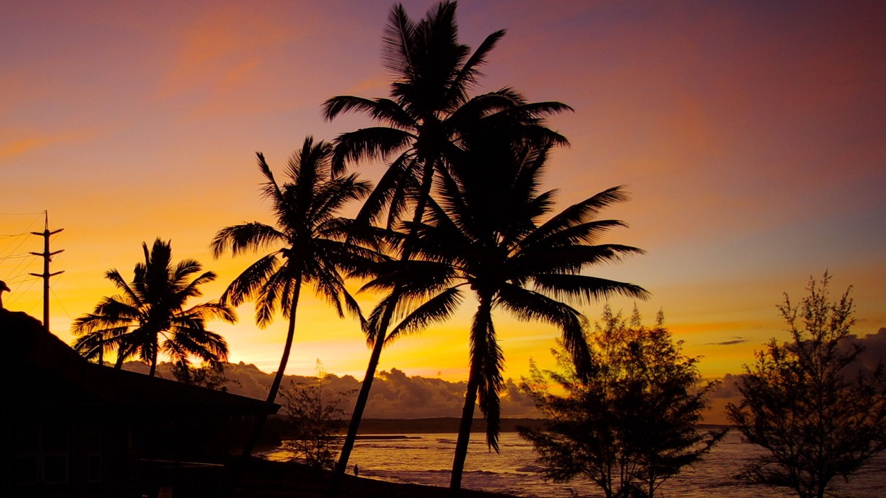 Photo of Others in Kekaha