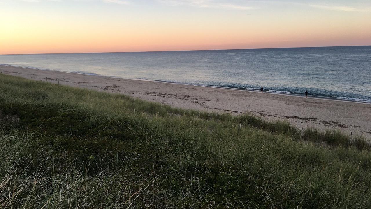 Photo of Others in Quidnet