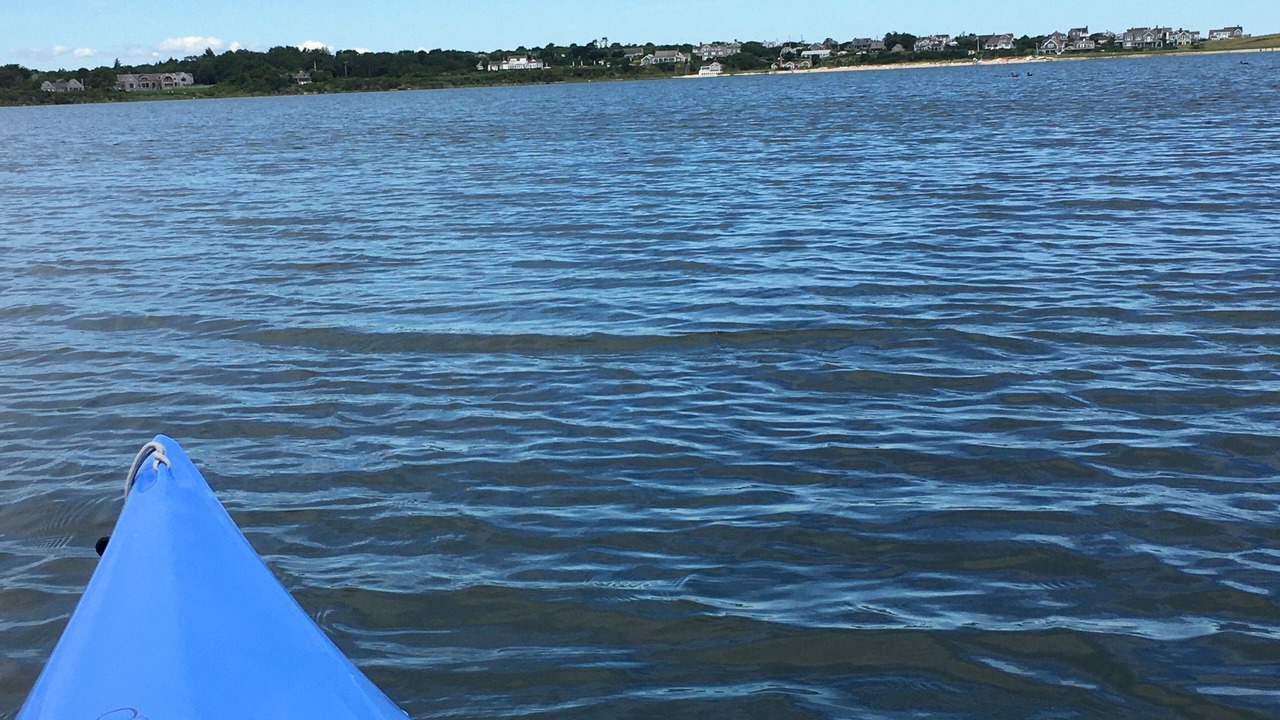 Photo of Others in Quidnet