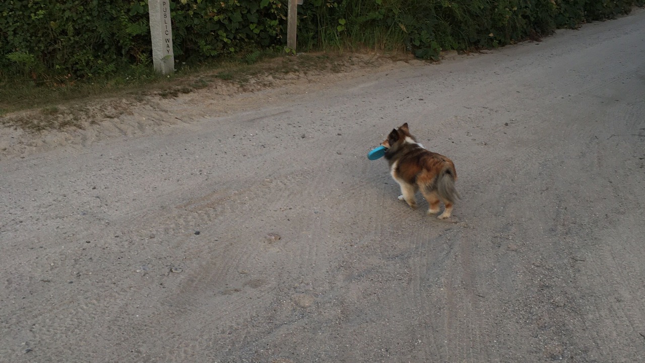 Photo of Others in Quidnet