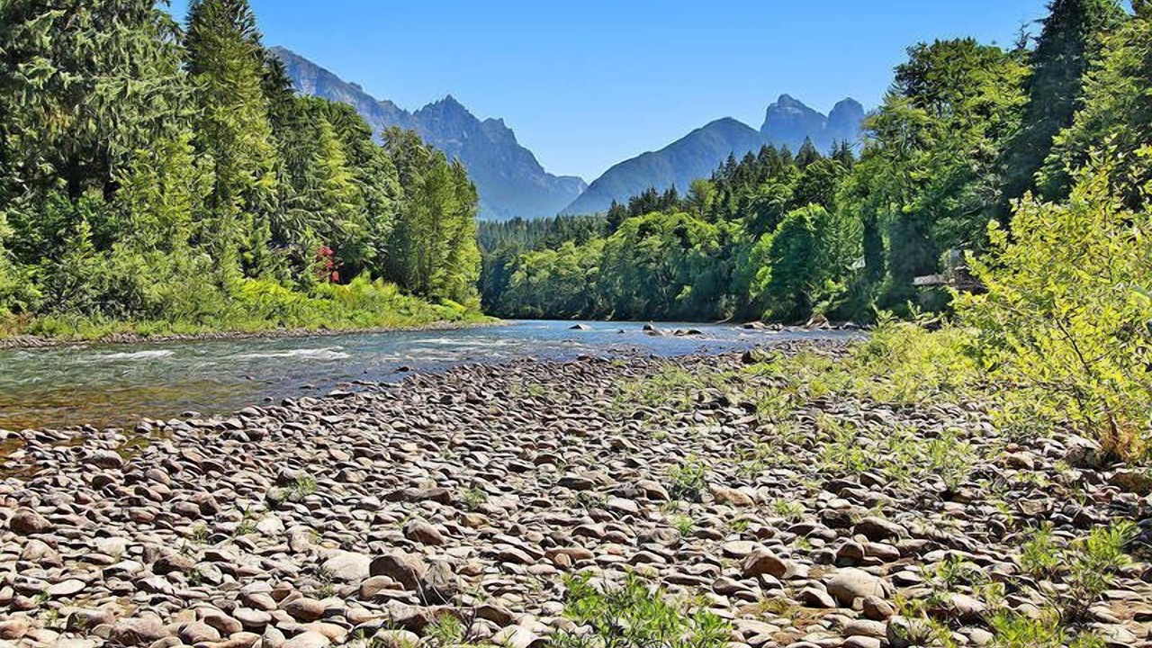 Photo of Others in Gold Bar