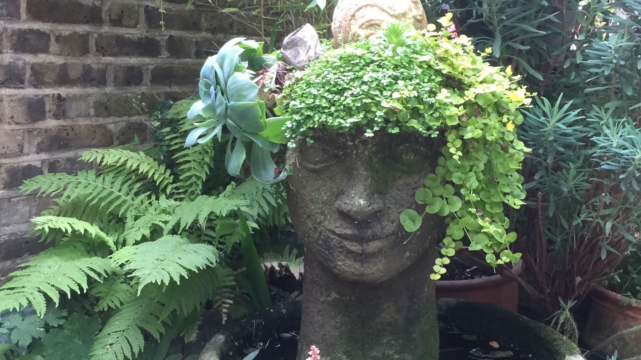 Photo of Outdoor in Bromley Common and Keston