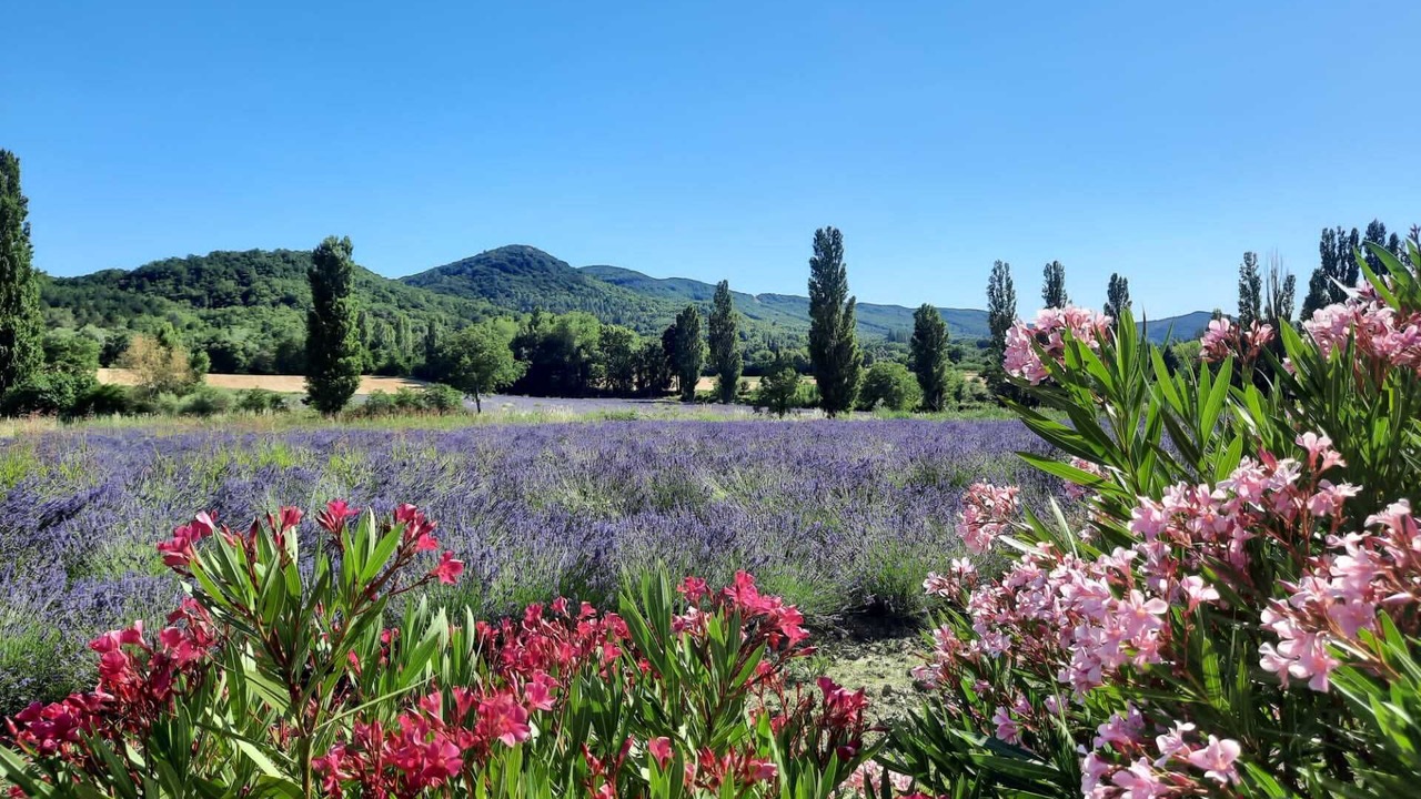 Photo of Outdoor in Portes-en-Valdaine