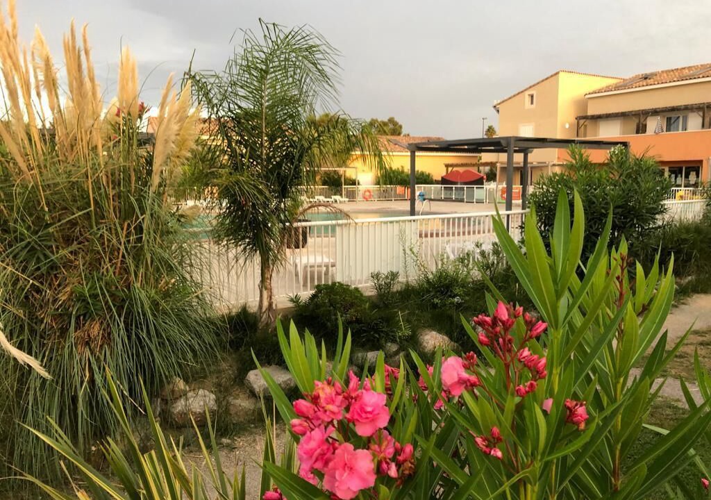 Photo of Outdoor in Latour-Bas-Elne