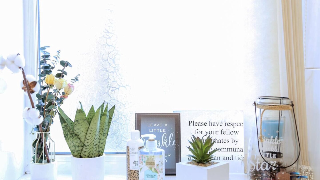 Photo of Others in Roker