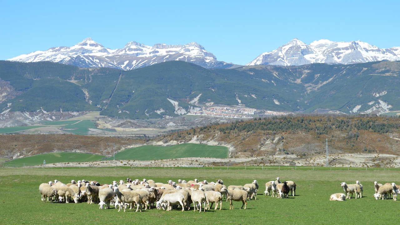 Photo of Outdoor in Gracionepel