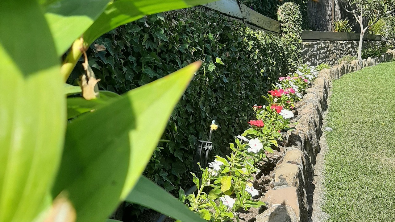 Photo of Outdoor in Gracionepel