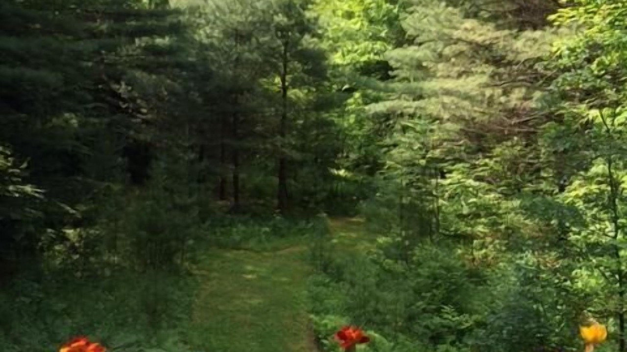 Photo of Others in Monterey