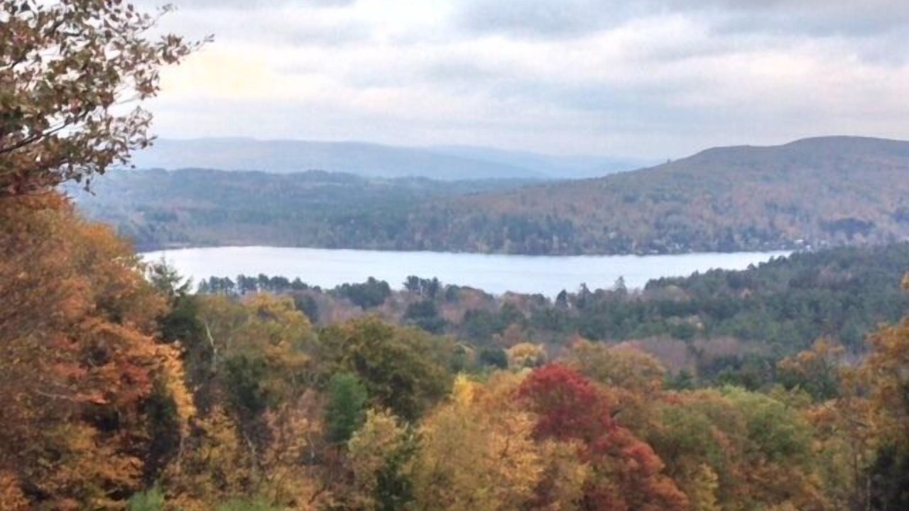 Photo of Others in Monterey