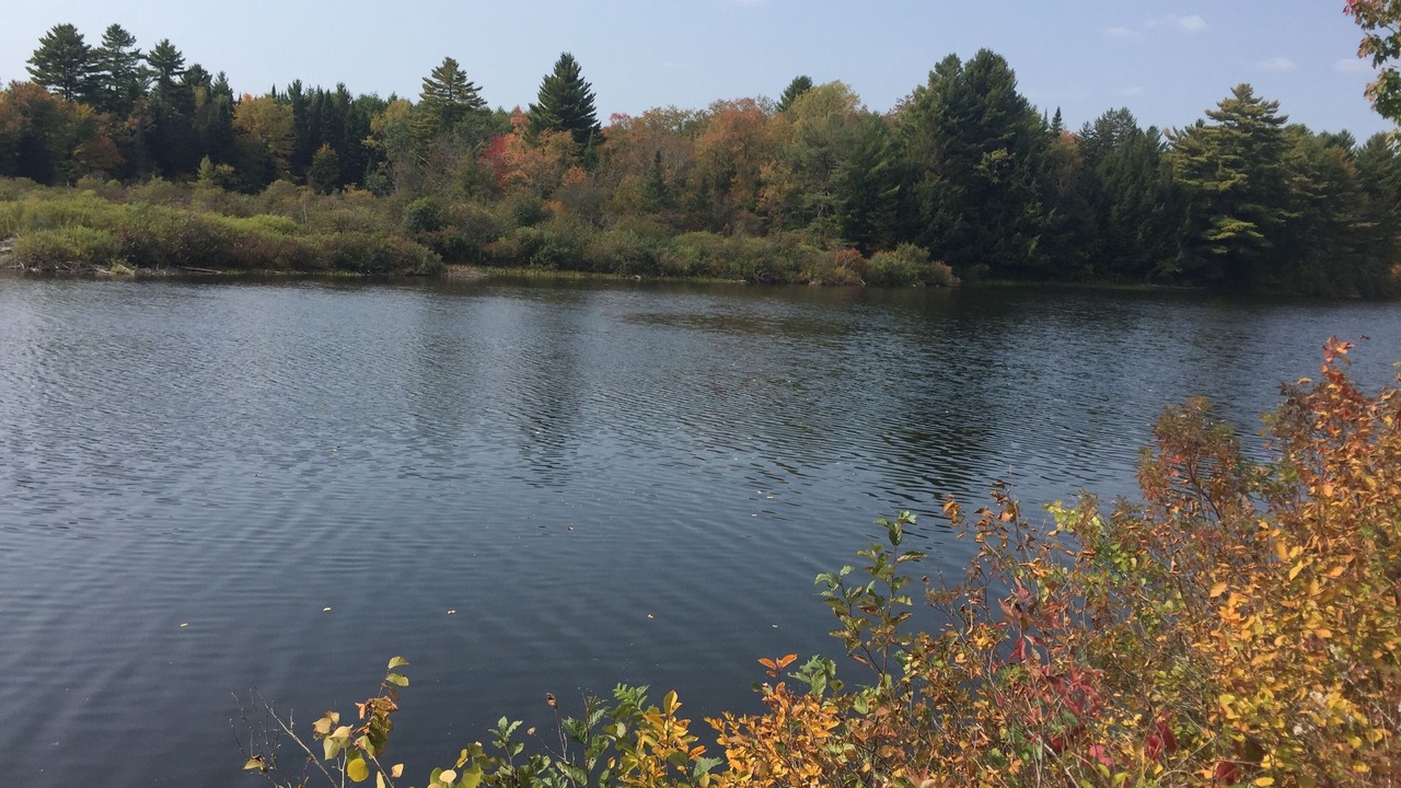 Photo of Outdoor in Boonville