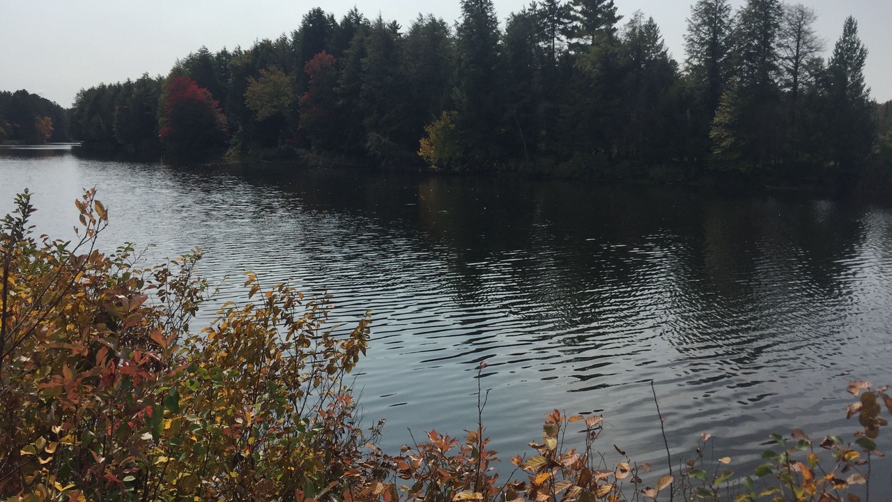 Photo of Others in Boonville