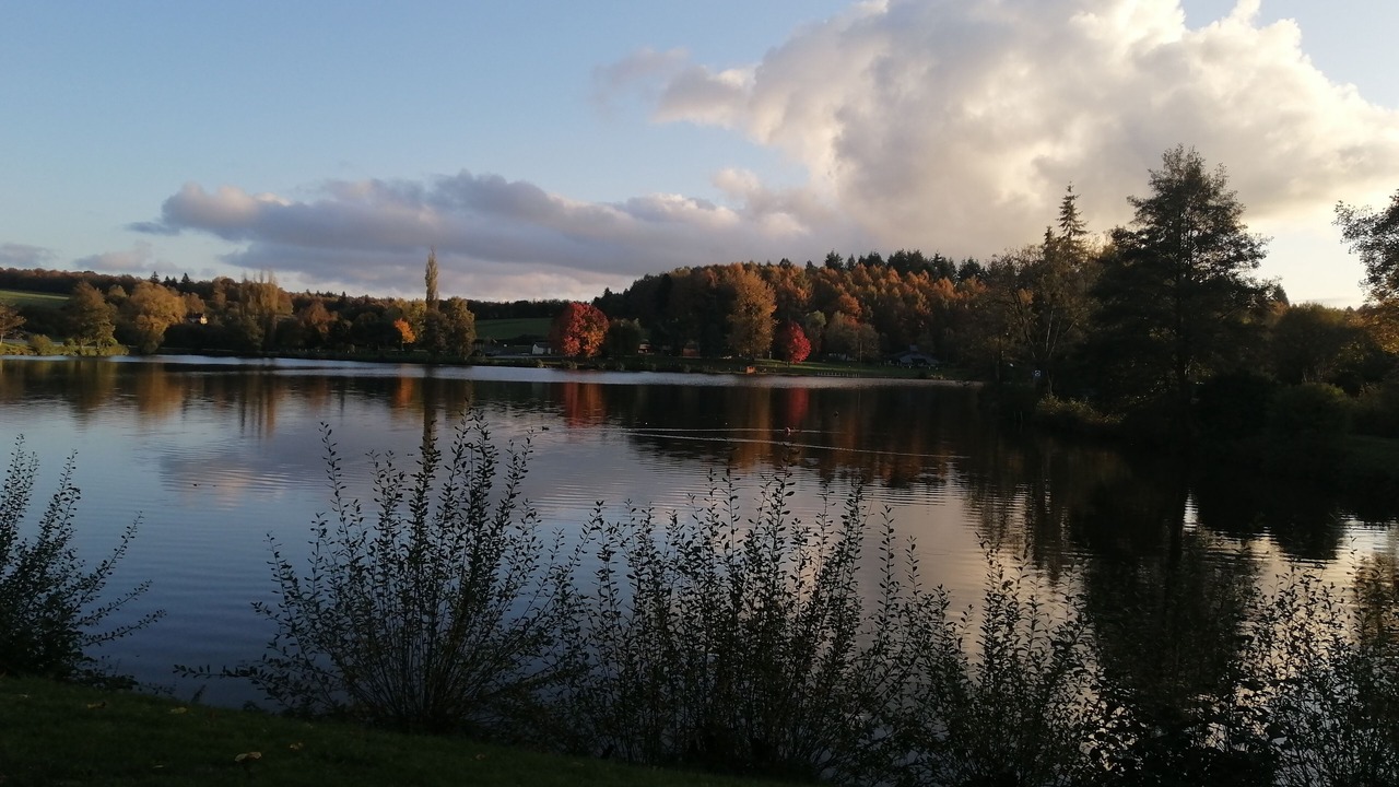 Photo of Outdoor in Saint-Evroult-Notre-Dame-du-Bois