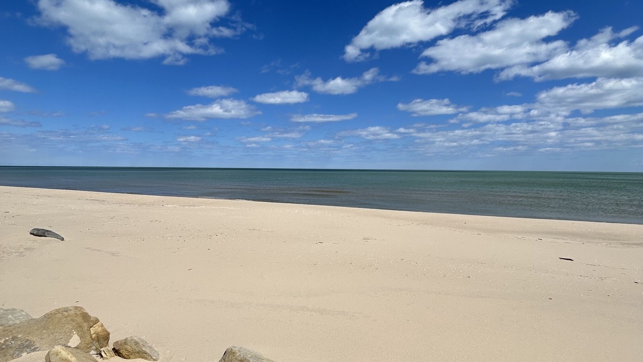 Photo of Others in Oscoda