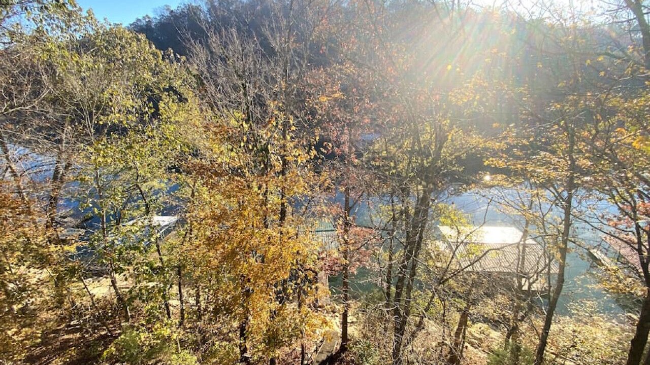 Photo of Others in Flat Hollow Marina