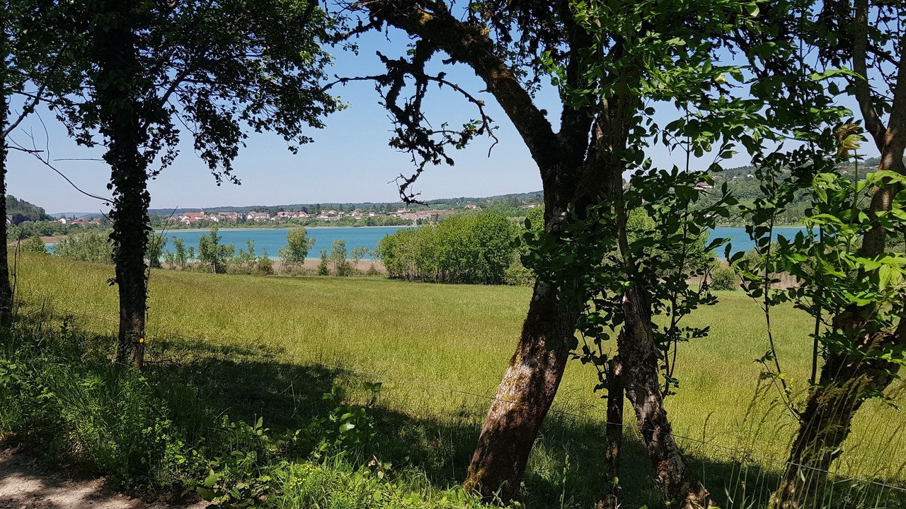 Photo of Outdoor in Clairvaux-les-Lacs