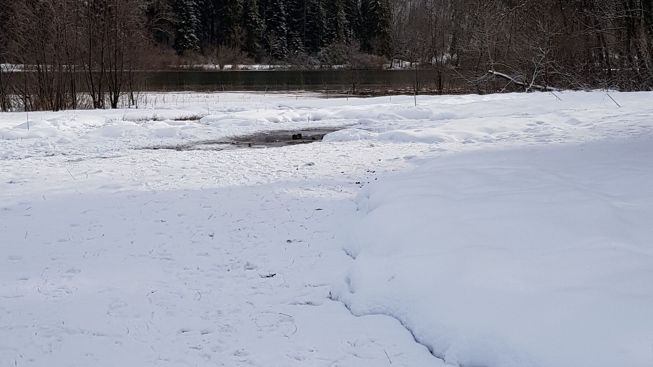 Photo of Others in Clairvaux-les-Lacs