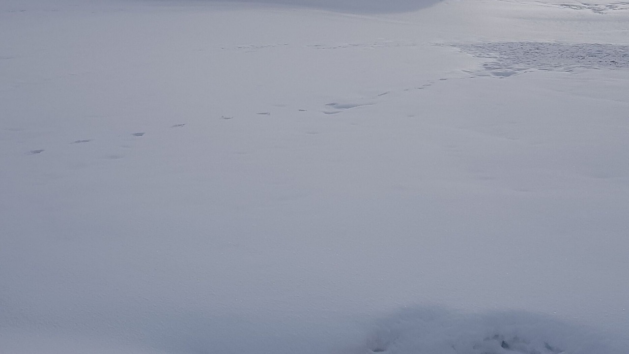 Photo of Others in Clairvaux-les-Lacs