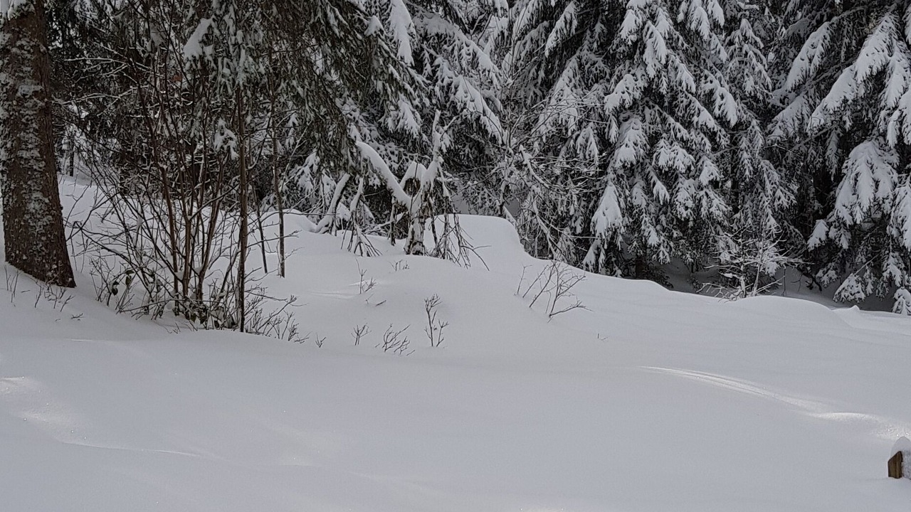 Photo of Others in Clairvaux-les-Lacs