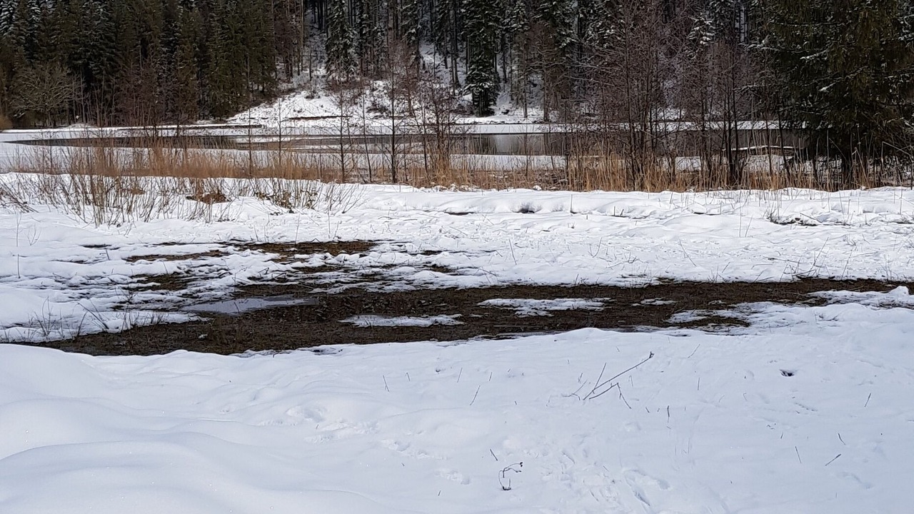 Photo of Others in Clairvaux-les-Lacs