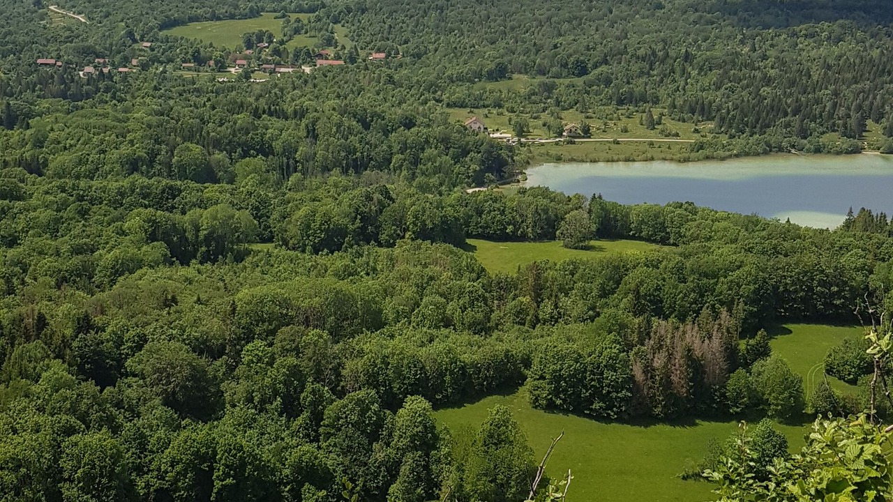 Photo of Others in Clairvaux-les-Lacs