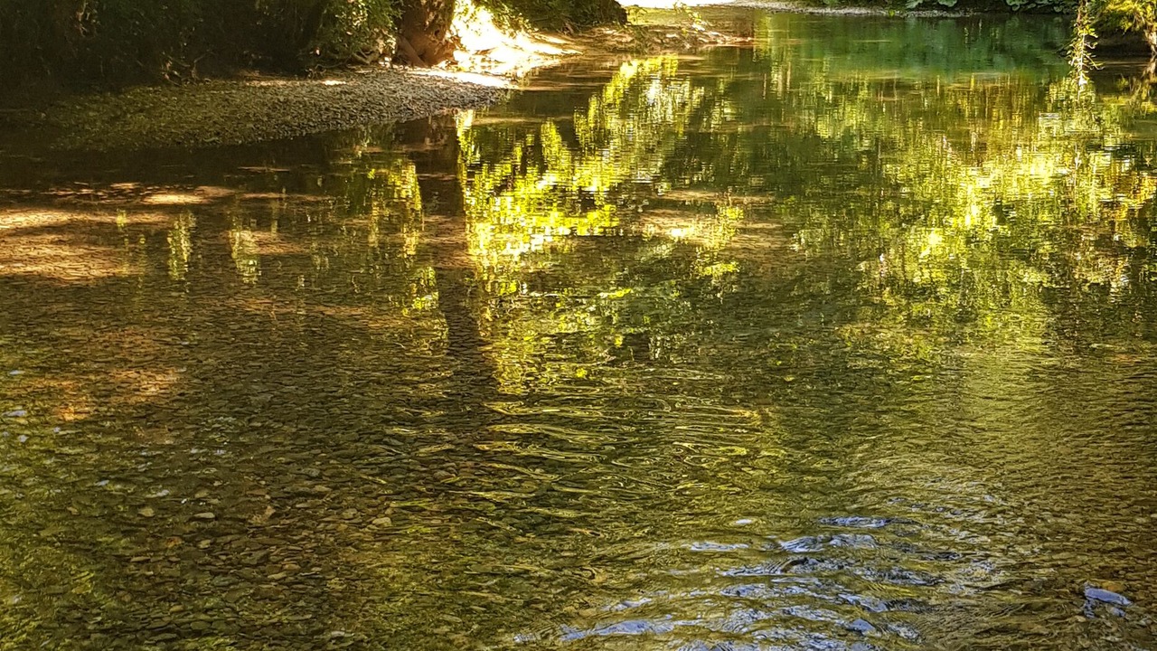 Photo of Others in Clairvaux-les-Lacs