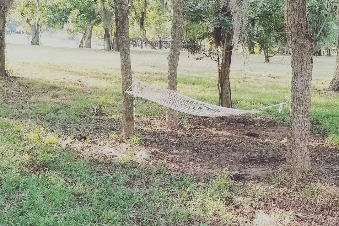 Photo of Outdoor in Texas Gulf Coast Region
