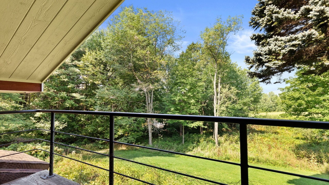 Photo of Outdoor in Stowe Hollow