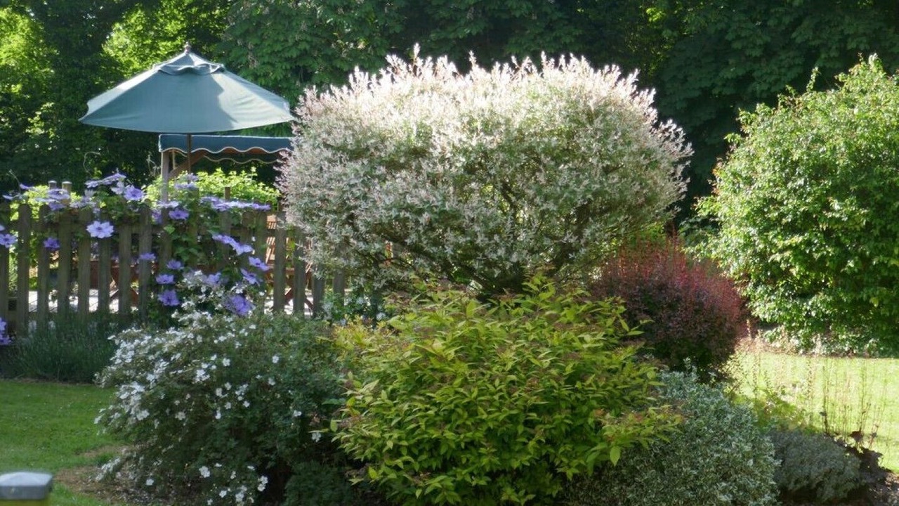 Photo of Outdoor in Rimboval