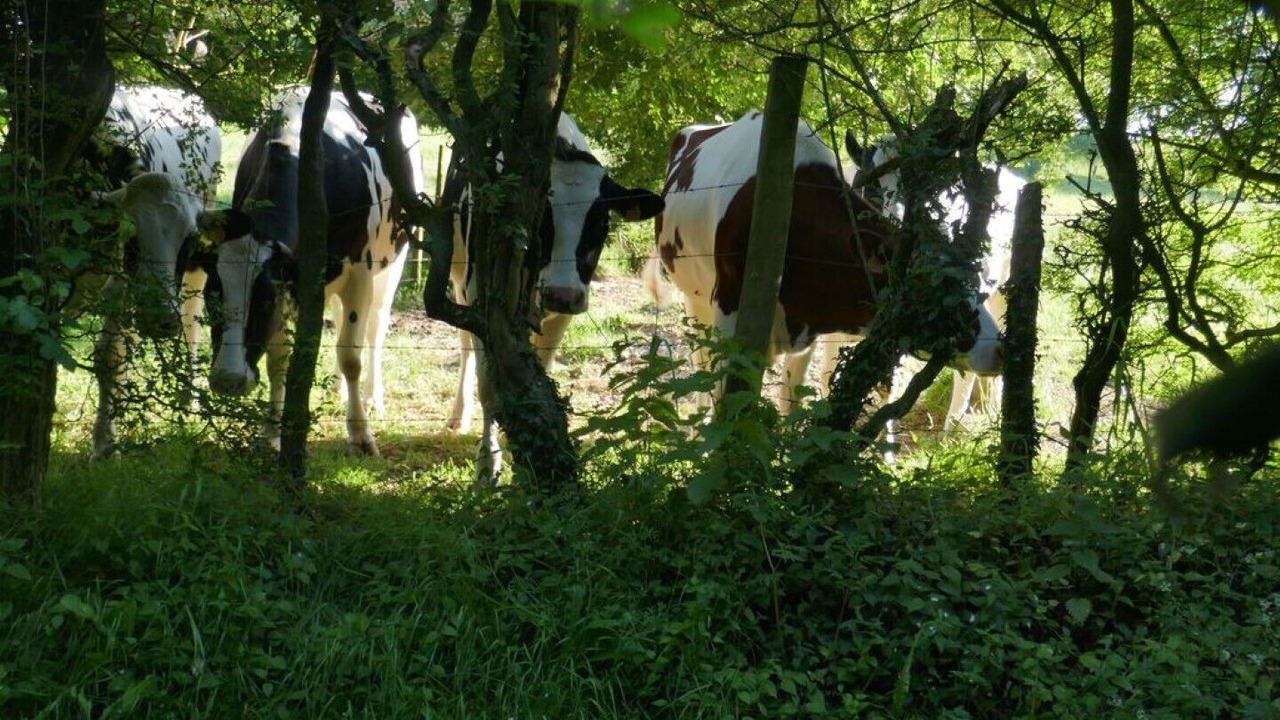 Photo of Outdoor in Rimboval