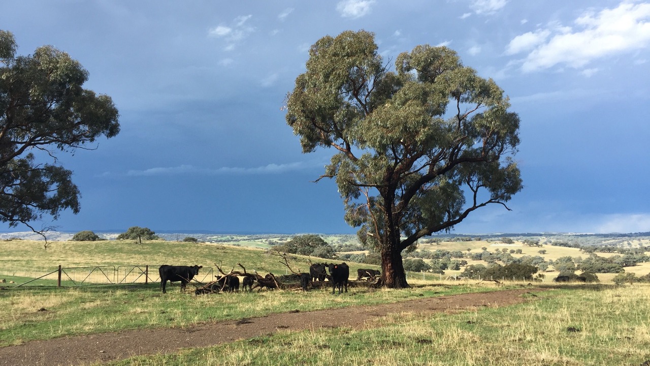 Photo of Outdoor in Orange