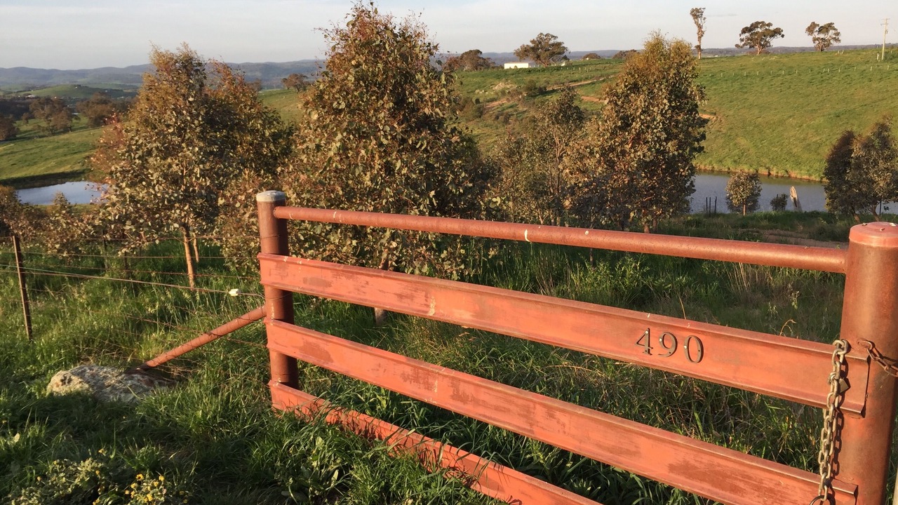 Photo of Outdoor in Orange