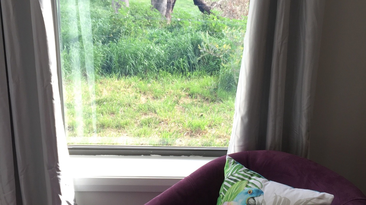 Photo of Others in Orange